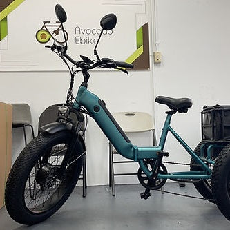 Going green with an electric bike